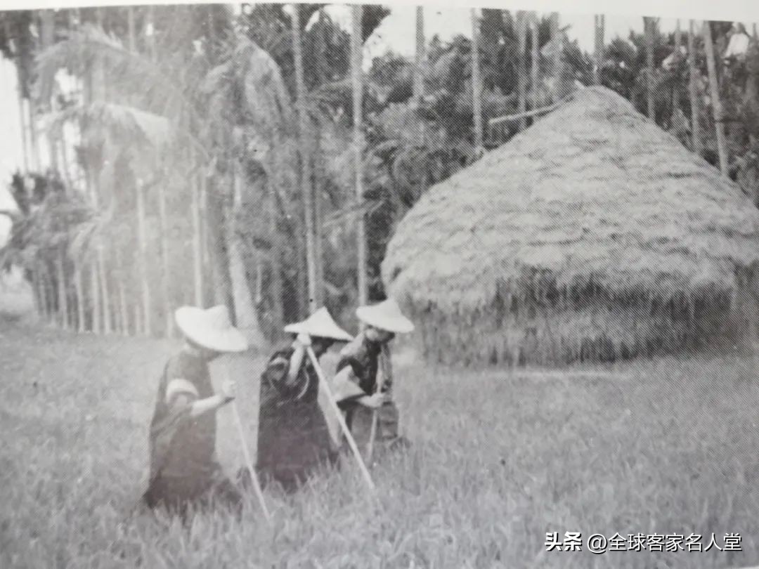 寻味赣菜客家菜,寻味赣南客家