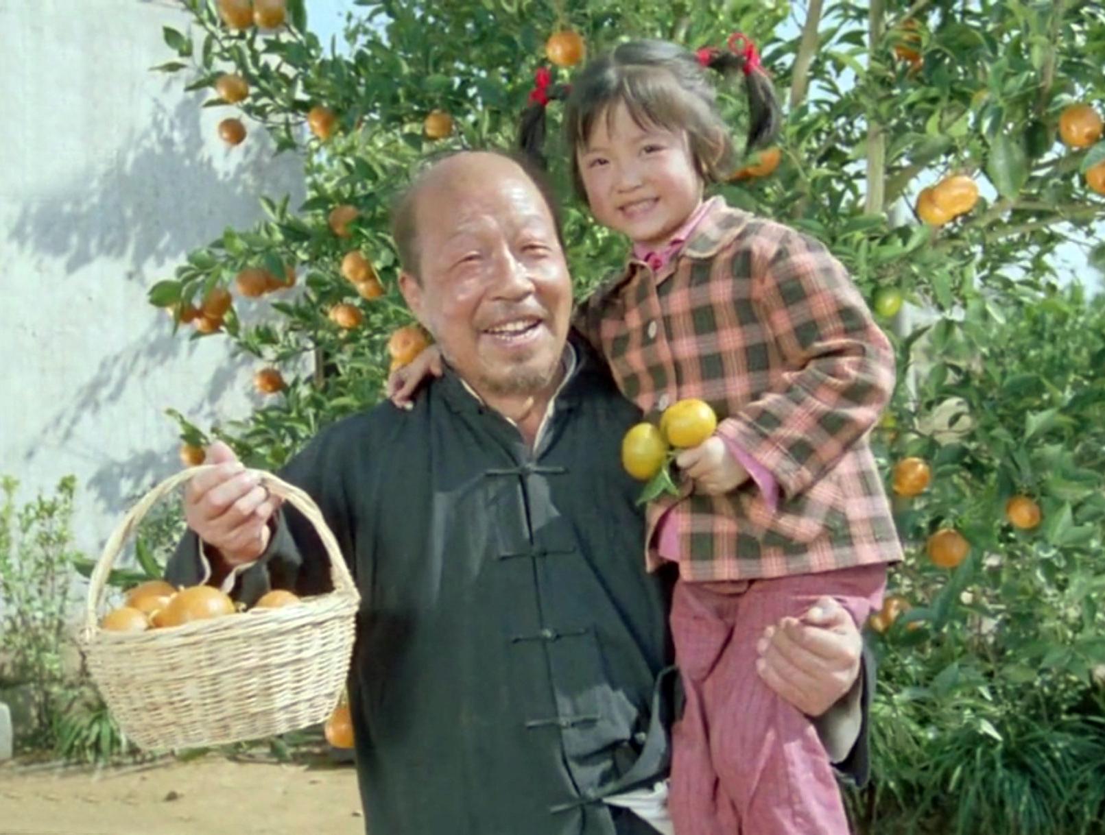 金鸡奖最佳男演员陶虹颁奖,金鸡奖中的十大好演员