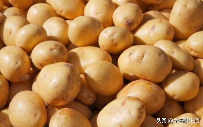 春季补脾吃什么食物好,春天吃甘甜食物有哪些