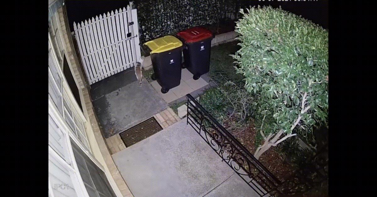 萤石家用摄像头对比小米华为,萤石c6cn和tplinkipc44aw哪个好