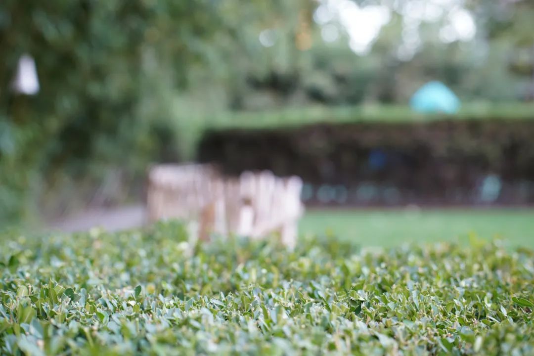 森养af35mmf18fe开箱体验,森养50mmf1.4二代锐度