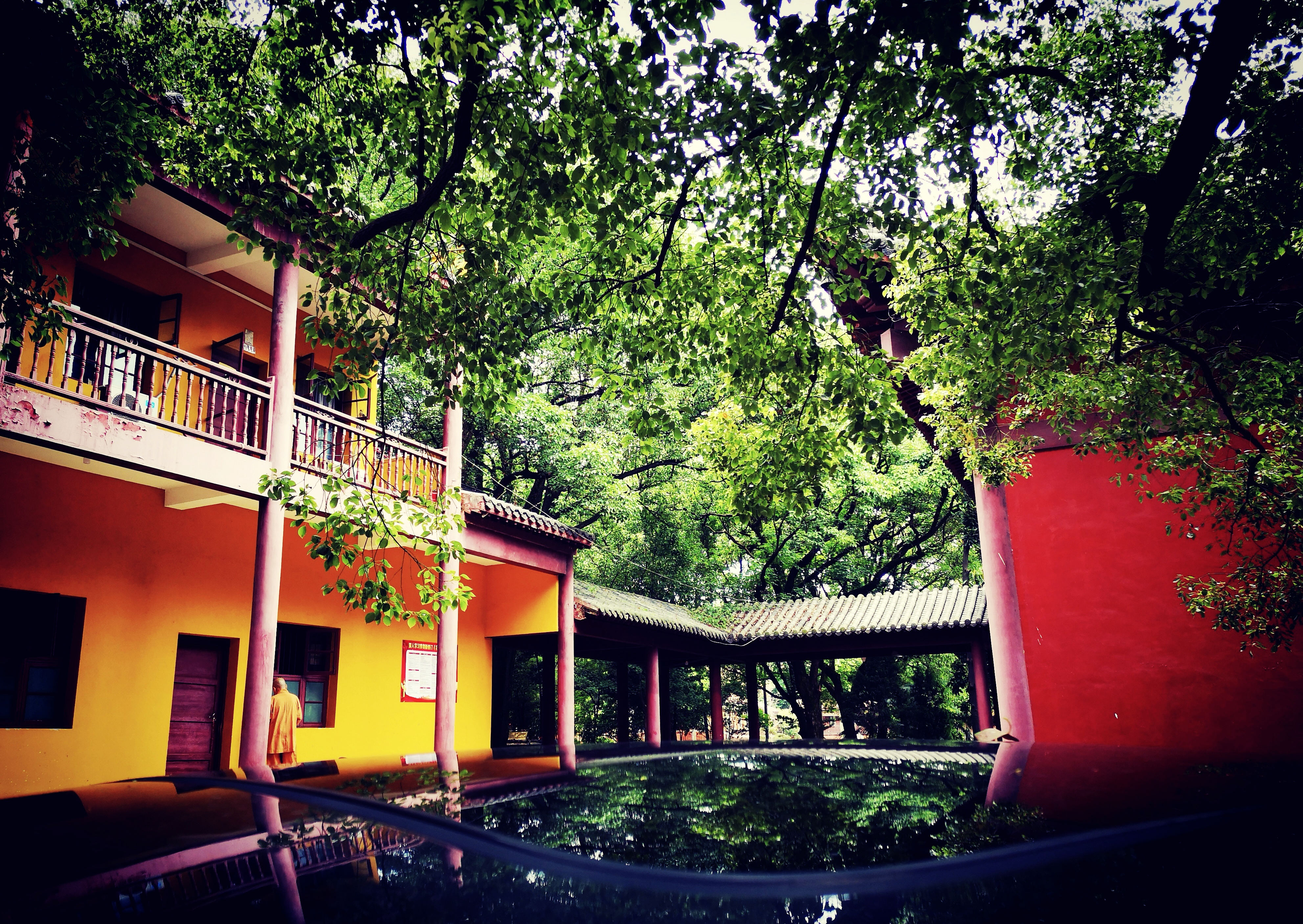 甘棠湖上“娘娘庙”，是为闹市中的一方净土，风光旖旎，四季浪漫