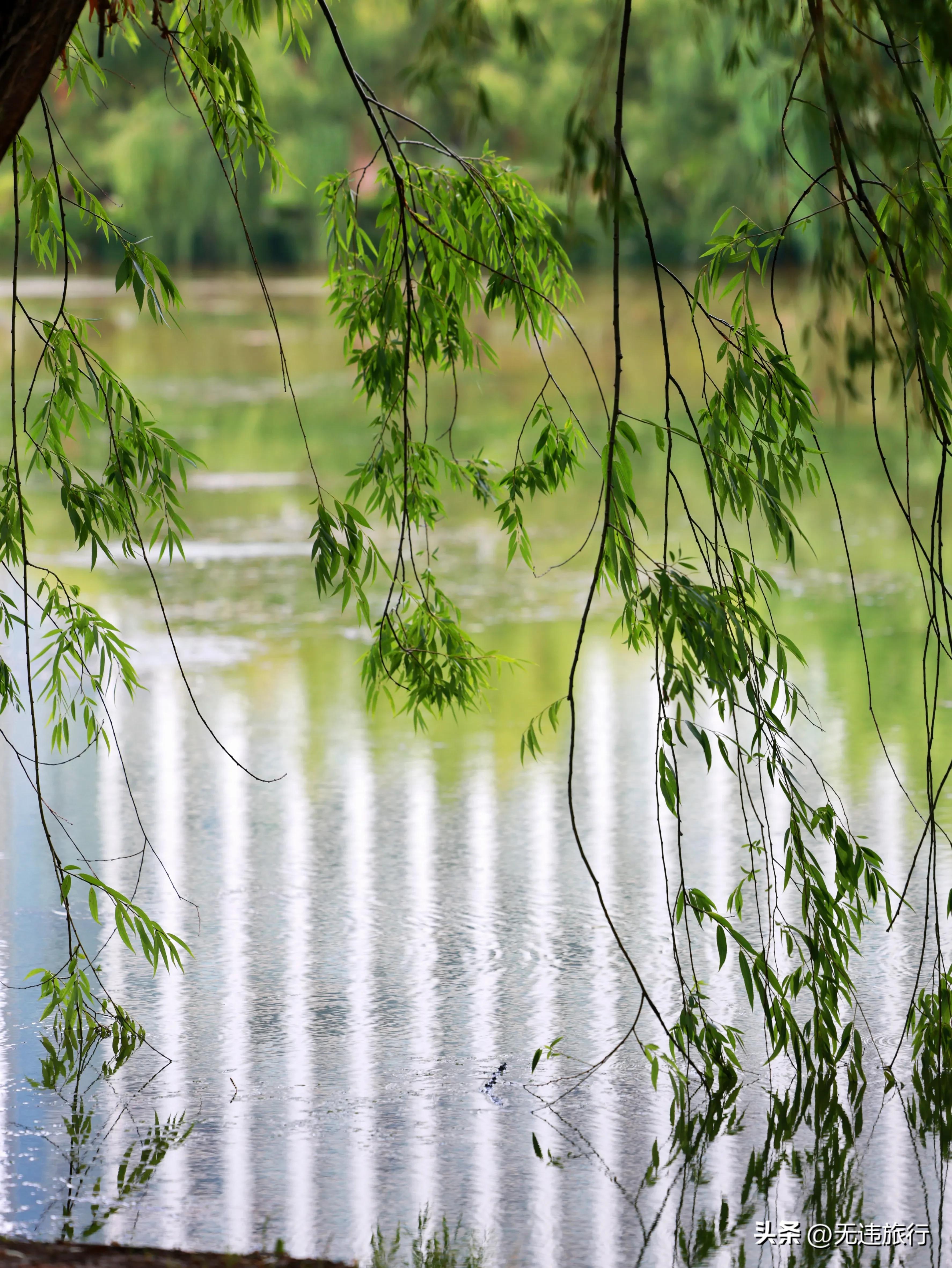 抚仙湖游一天游玩人数,抚仙湖一日游带什么