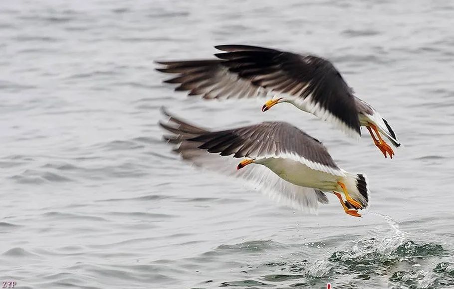 最美中国年摄影作品,大美中国全国摄影大赛