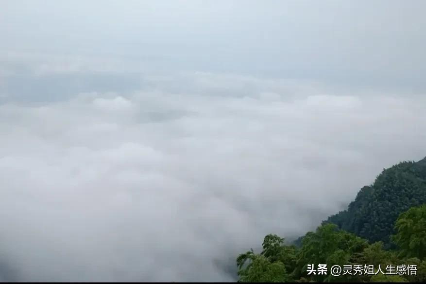 川南竹海,川南三大景点排名