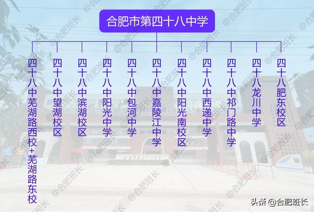十一所中学或校区傻傻分不清，班长详解合肥四十八中学教育集团