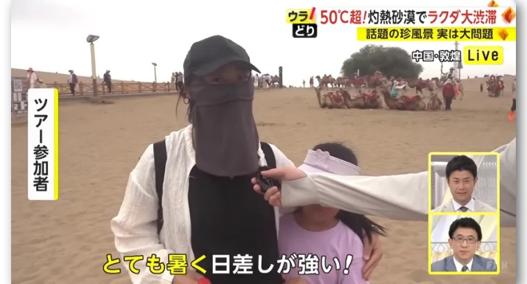 日本记者敦煌堵骆驼,日本记者直播连线冰墩墩