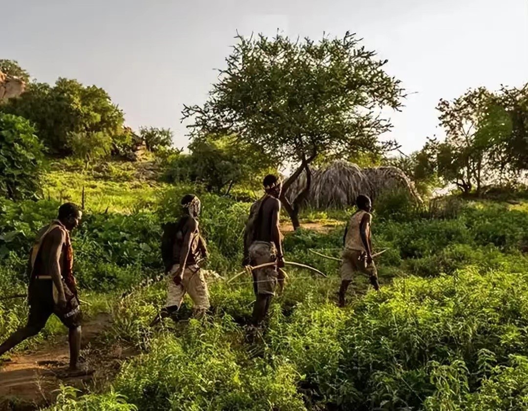 古埃及法老实验,埃及法老试验语言婴儿