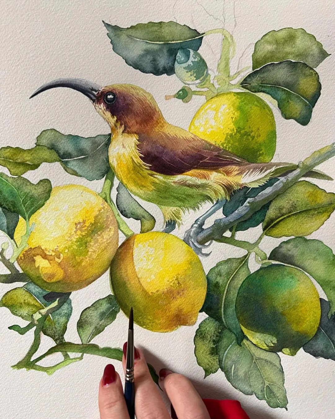 用色大胆的水彩作品,大神级水彩作品看完肯定不后悔