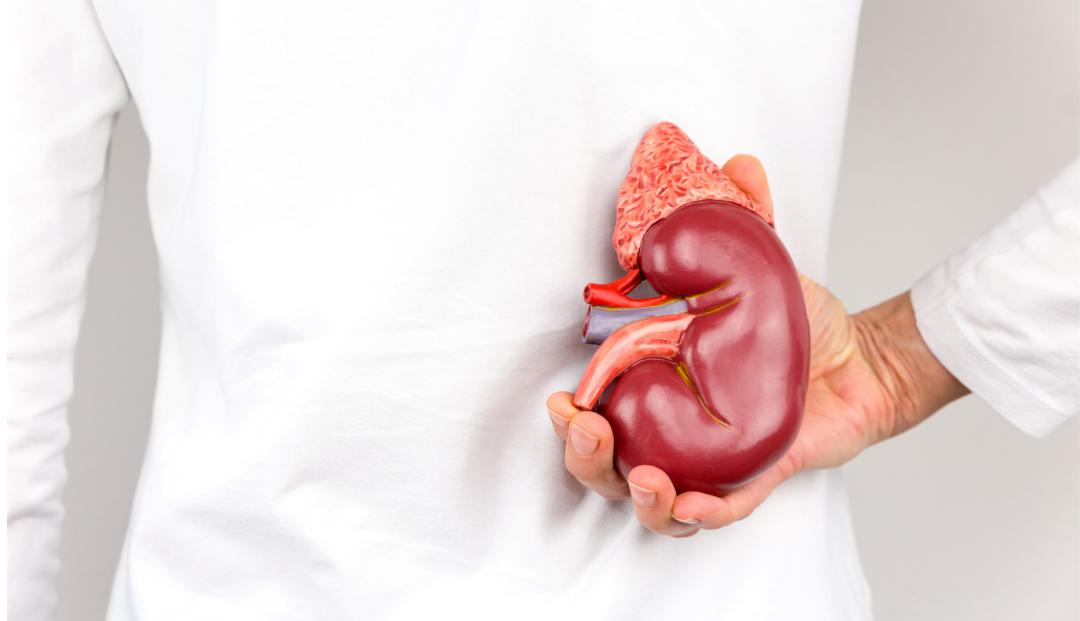 中国肾病患者超一亿是真的吗,肾病有一亿人吗