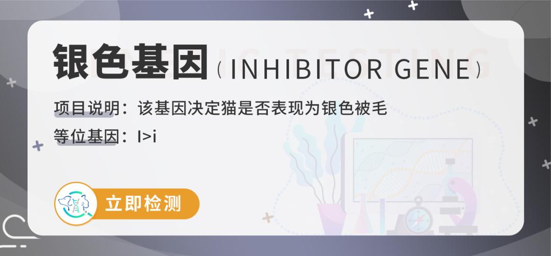 基因技术重大突破,基因科技的重大突破