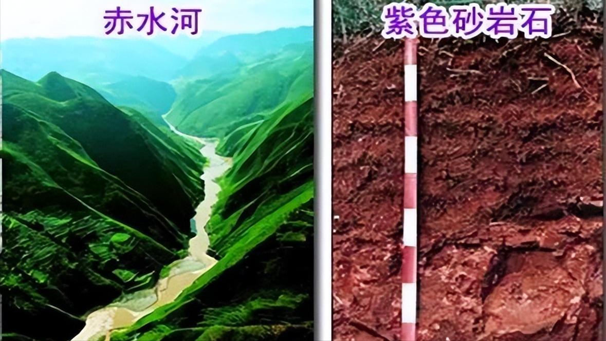 茅台镇的白酒好喝吗,茅台镇好喝的酱香酒推荐