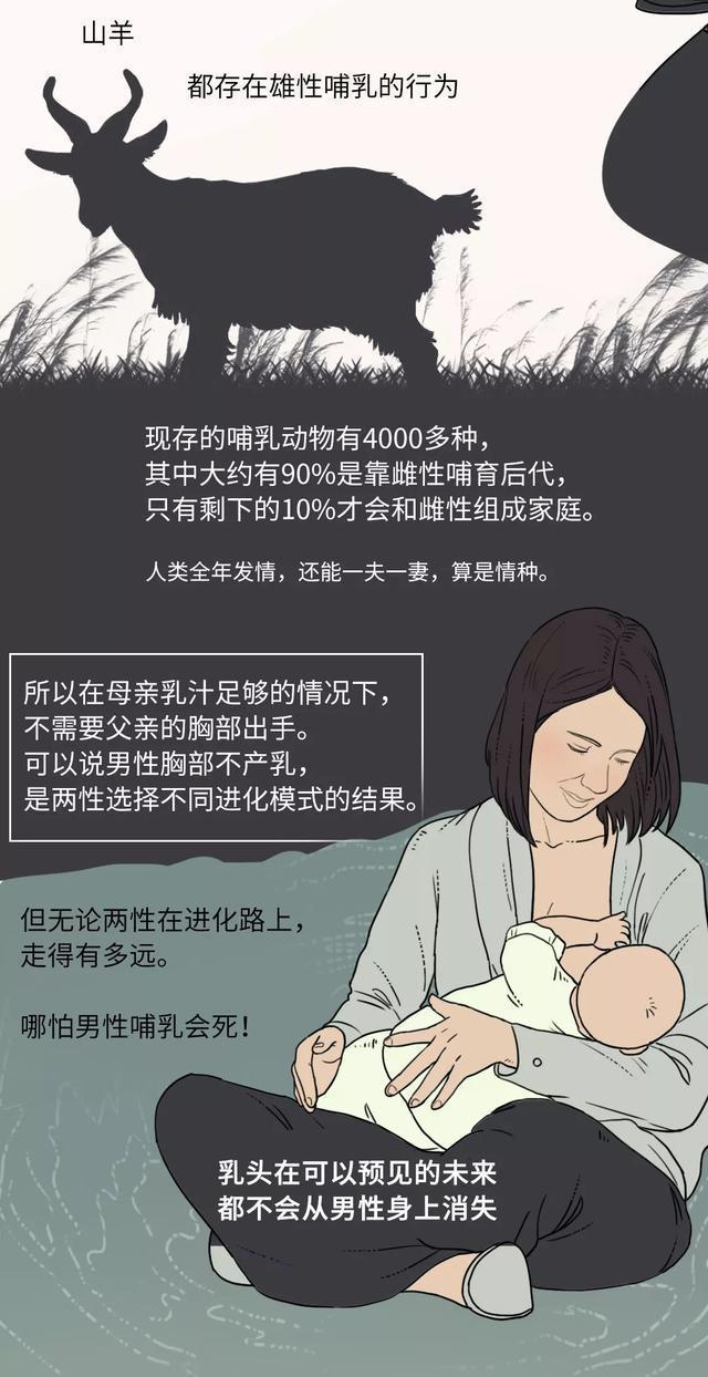 男人的奶头，到底有什么作用？是因为美观吗？很多女生不明白
