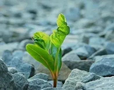 走出逆境全集,一起走出逆境