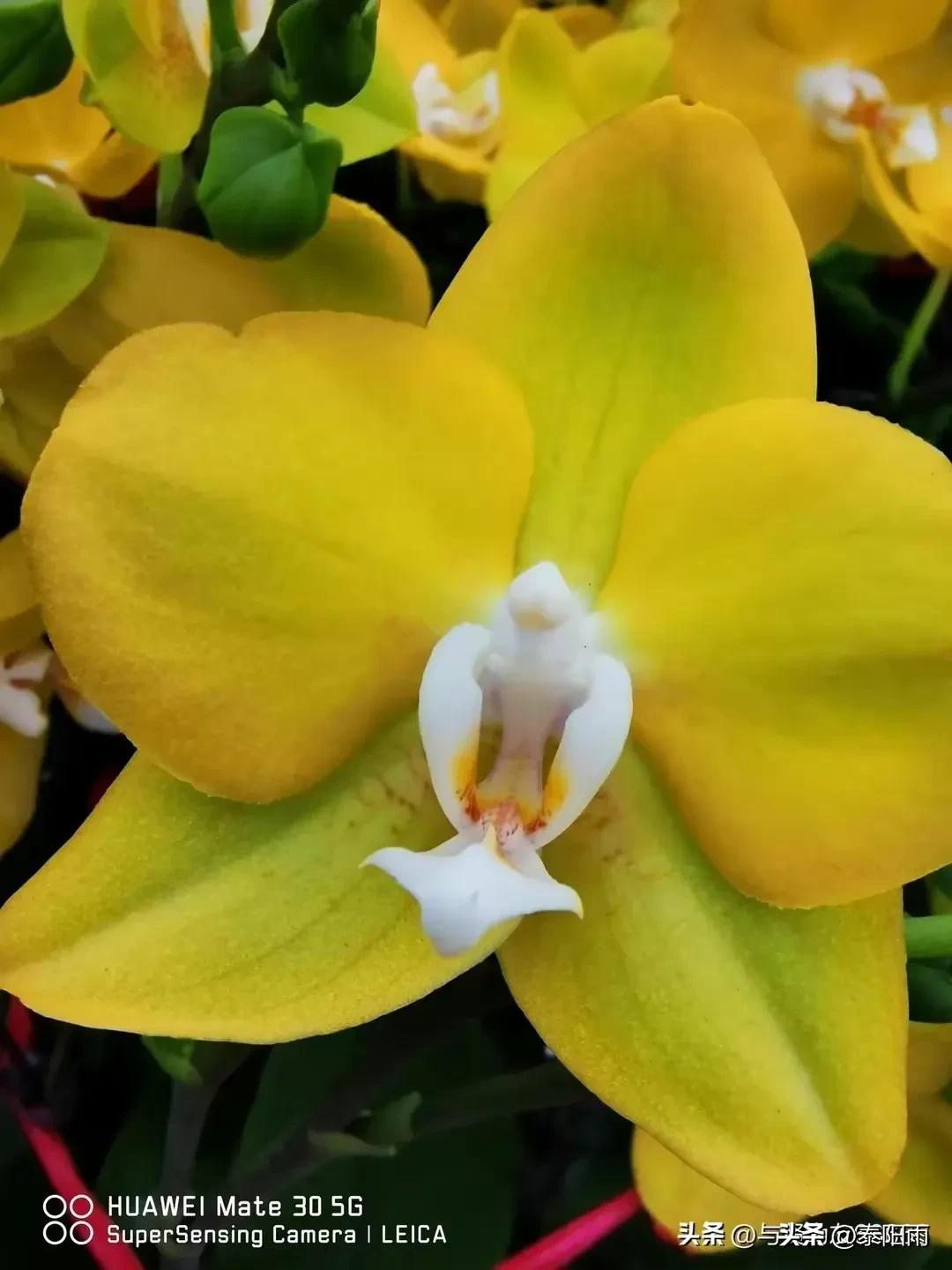 揭密徐长元腐败案被无限夸大背后隐藏的“玄机”