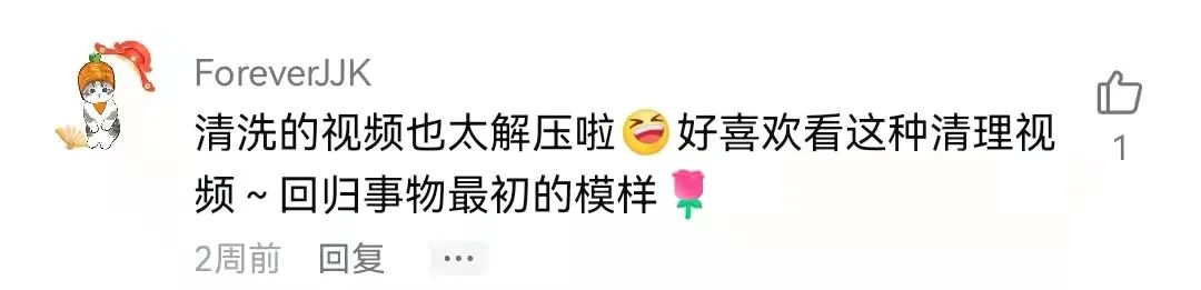 解压视频赶海挖东西,赶海的解压视频