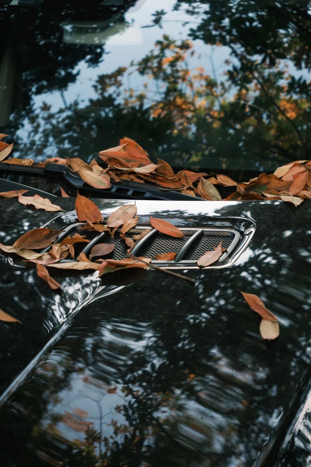 适马85mmf1.4镜头富士卡口,富士适马18-50镜头评测