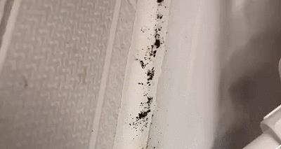 卫生间翻车怎么补救,卫生间干湿分离翻车案例