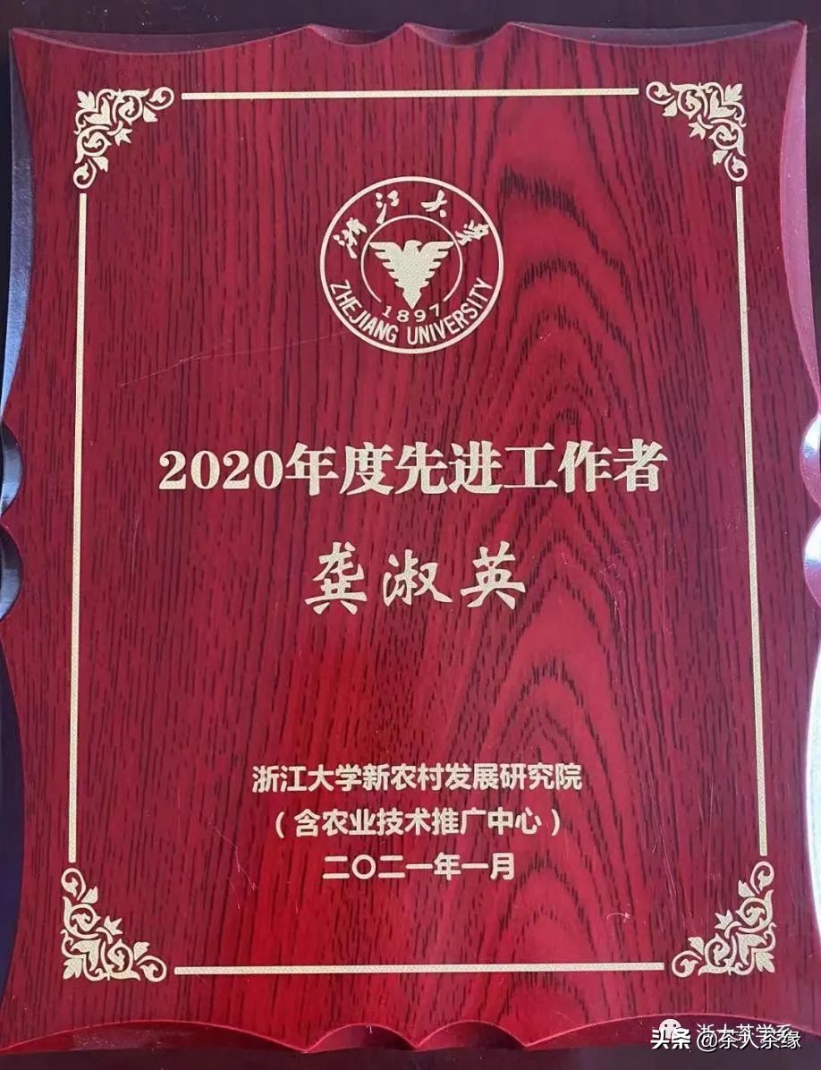 浙江大学茶学专业获评国家级一流本科专业建设点