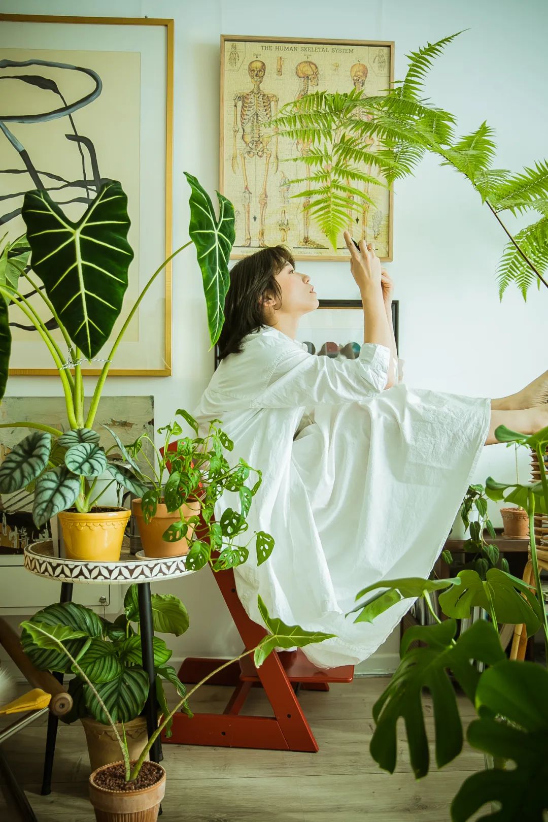 90后妈妈花3年时间,在北京打造室内“小森林”,满屋绿意