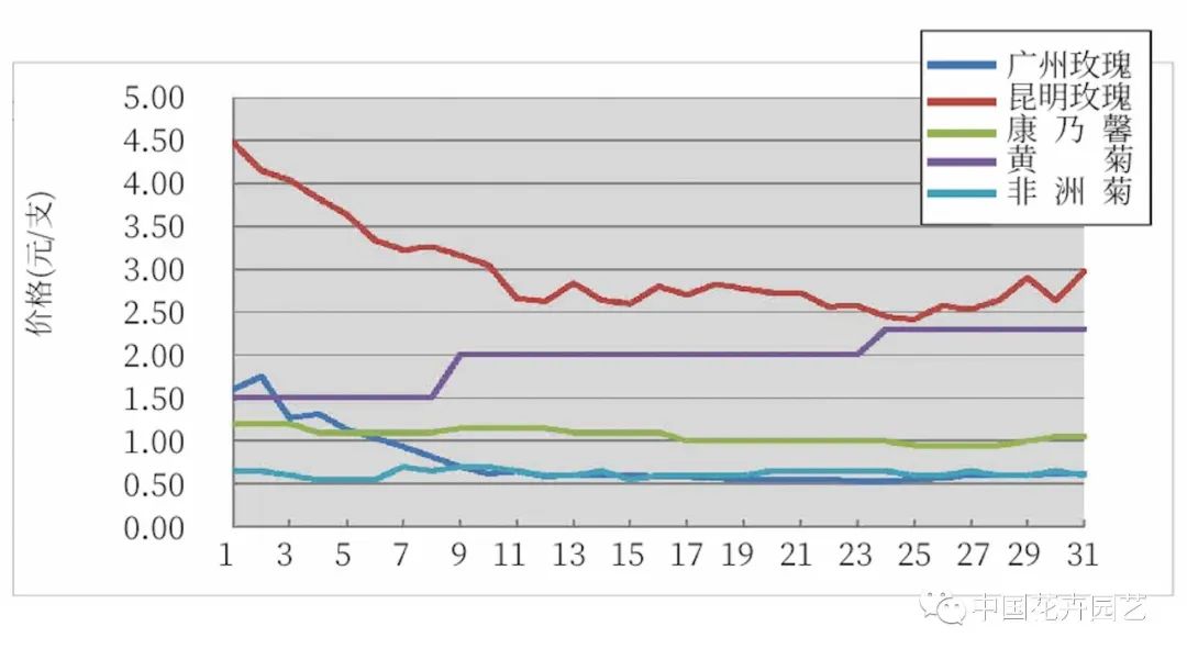 KIFA广州沈阳成都郑州昆明台北日本8月切花|行情