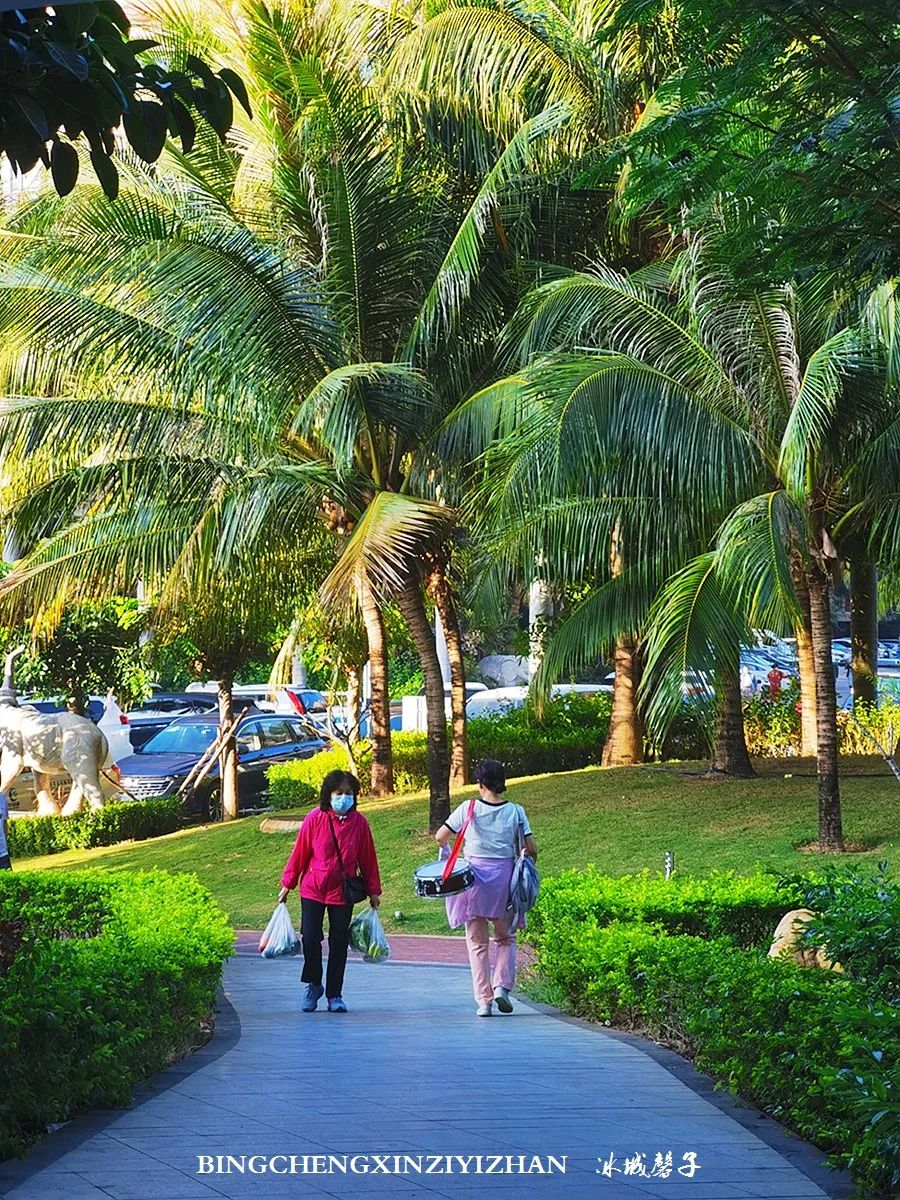 旅居海南,旅居式旅游生活海南