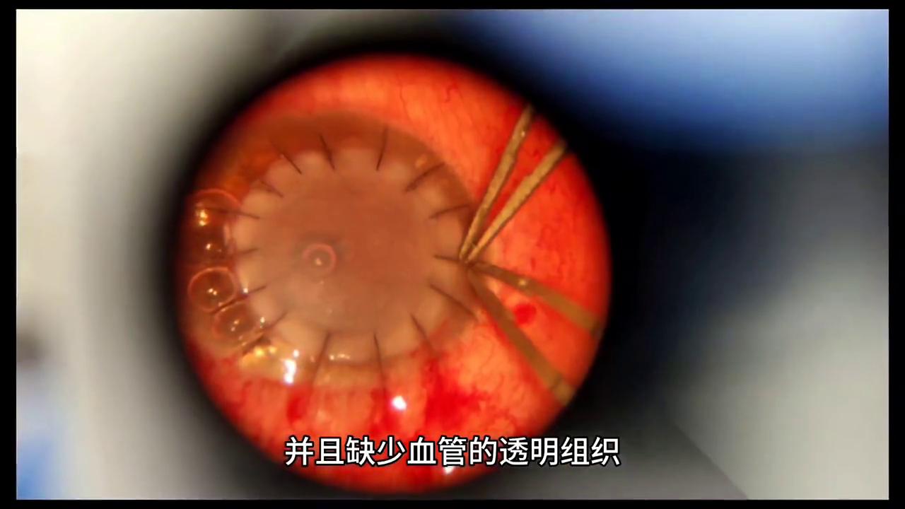 禁止废话为什么越睡觉越困,禁止废话为什么越喝水越渴