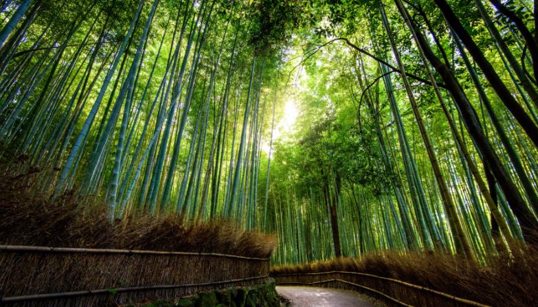 日本不安装暖气，最低气温零下30度怎么生活？看完后算是涨知识了