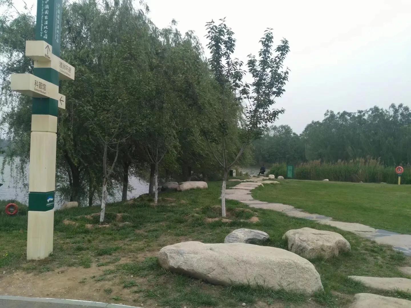 你对秦腔戏曲有什么新的认识,秦腔语言鉴赏札记