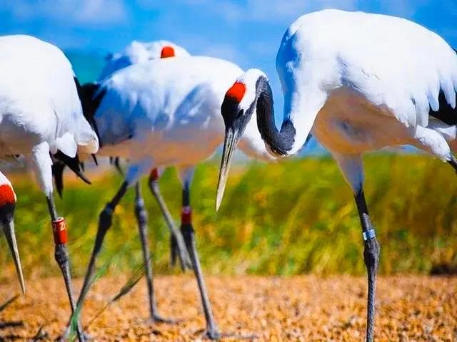 和大自然一起去旅行,和地理老师一起去旅行