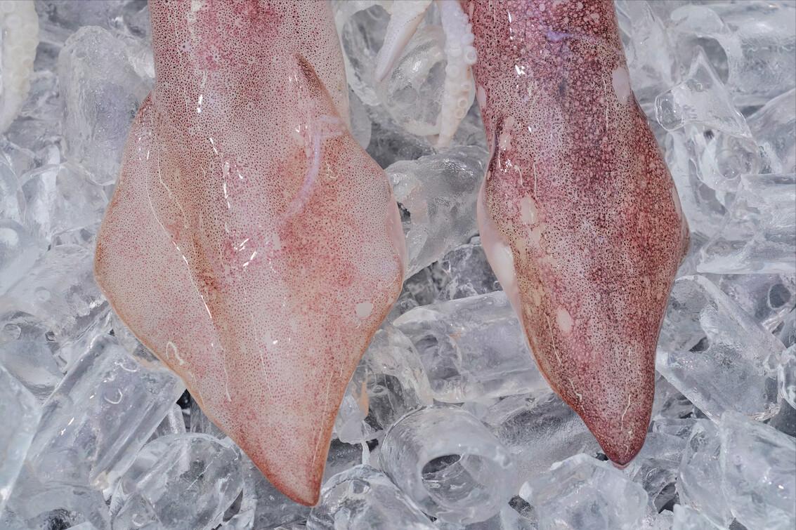 炒鱿鱼必须要焯水吗,炒鱿鱼家常做法需要焯水吗