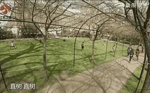 错过胡歌，爱上失业男子郑家尧，嫁林于超，林依晨的情史真曲折