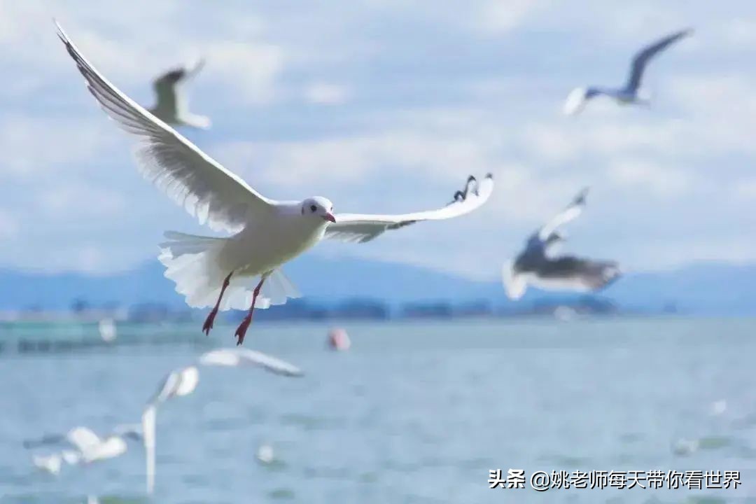 旅行云南团购,旅行云南推荐