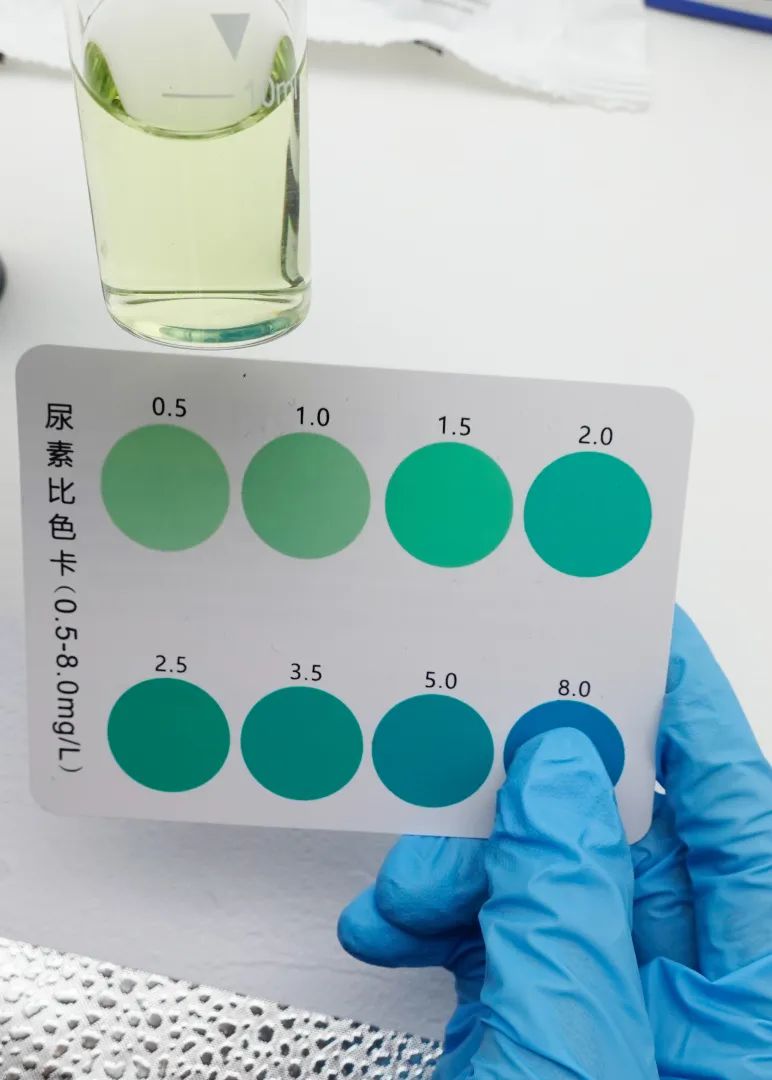 公共泳池的水有多脏,小区泳池太脏怎么办