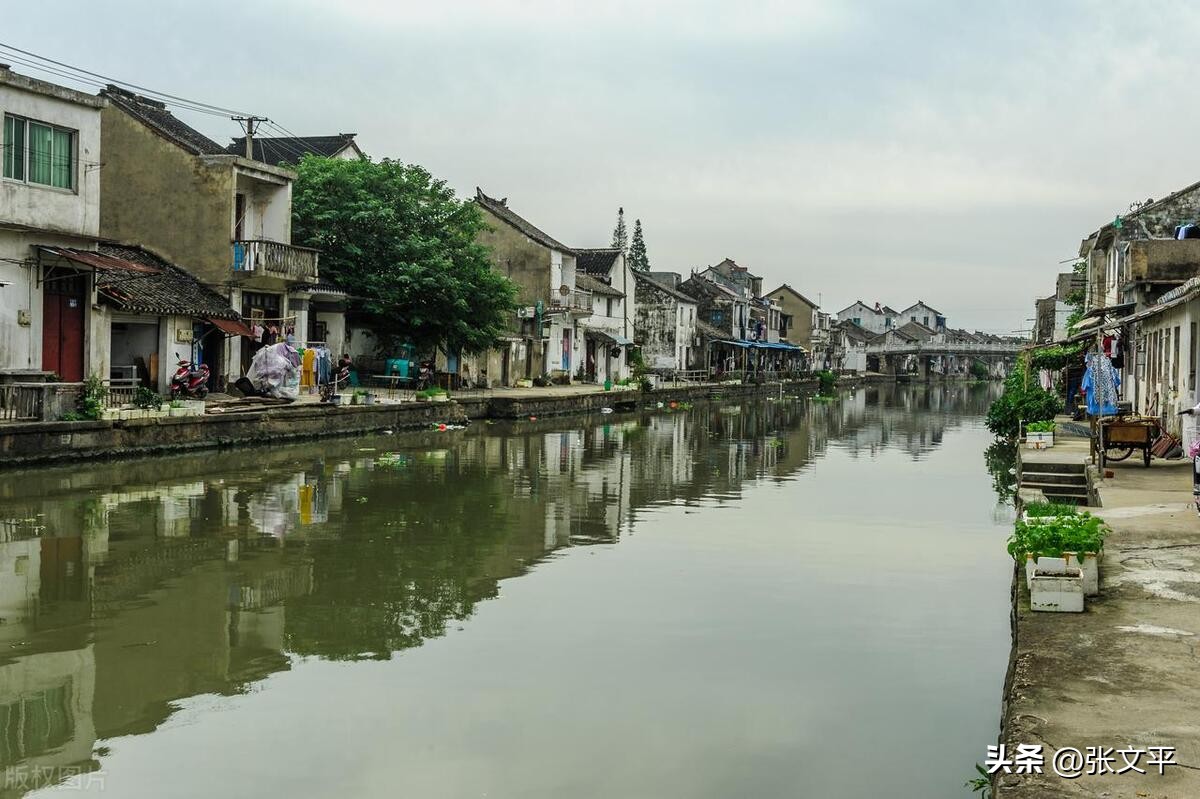 一碗正宗的蕈油面等你来品尝,全上海难觅的蕈油面