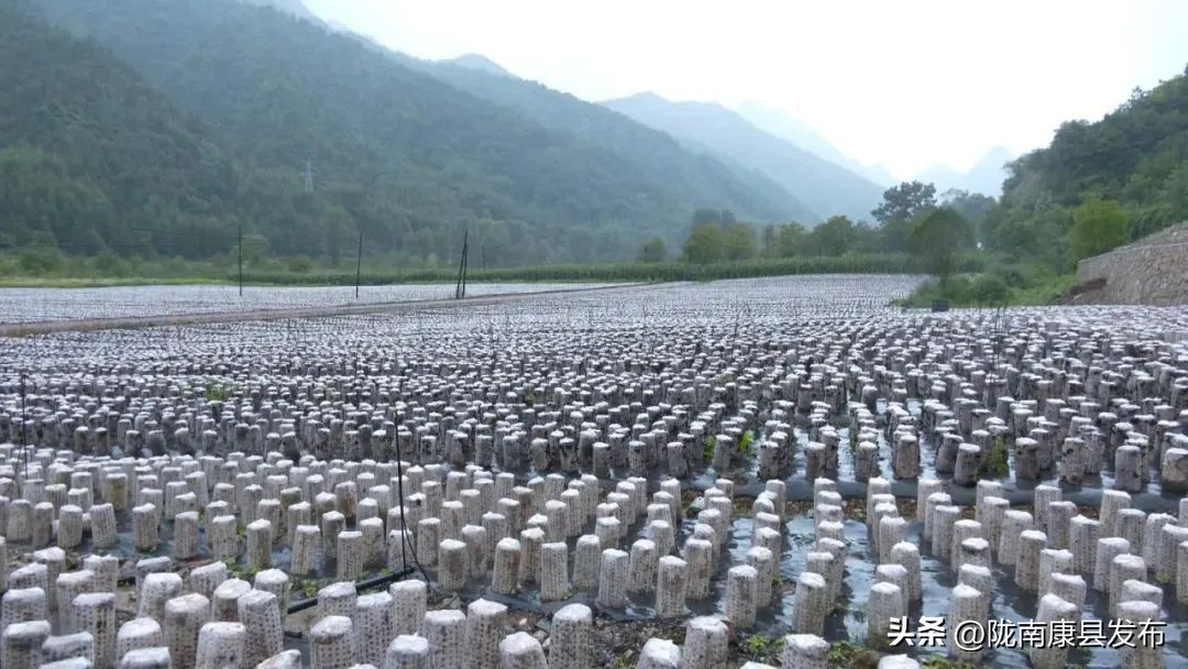 我们这十年奋进新时代,我们这十年通渭