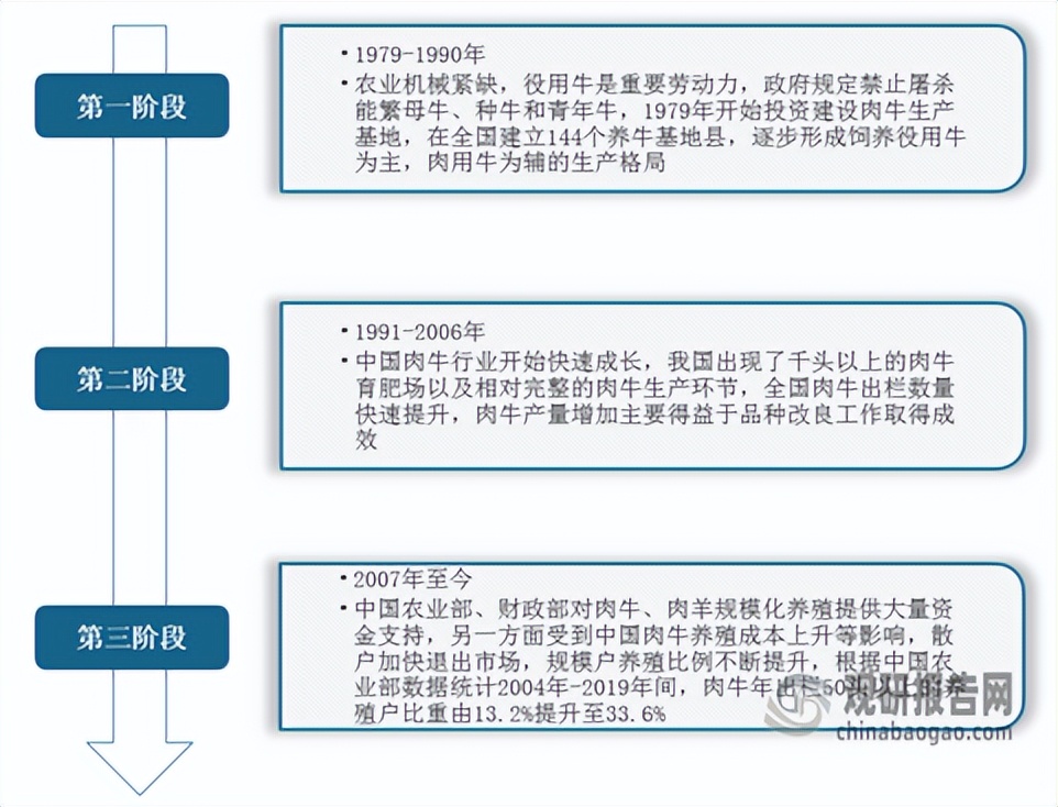 1000头肉牛养殖基地可行性报告ppt,中国肉牛产业投资分析