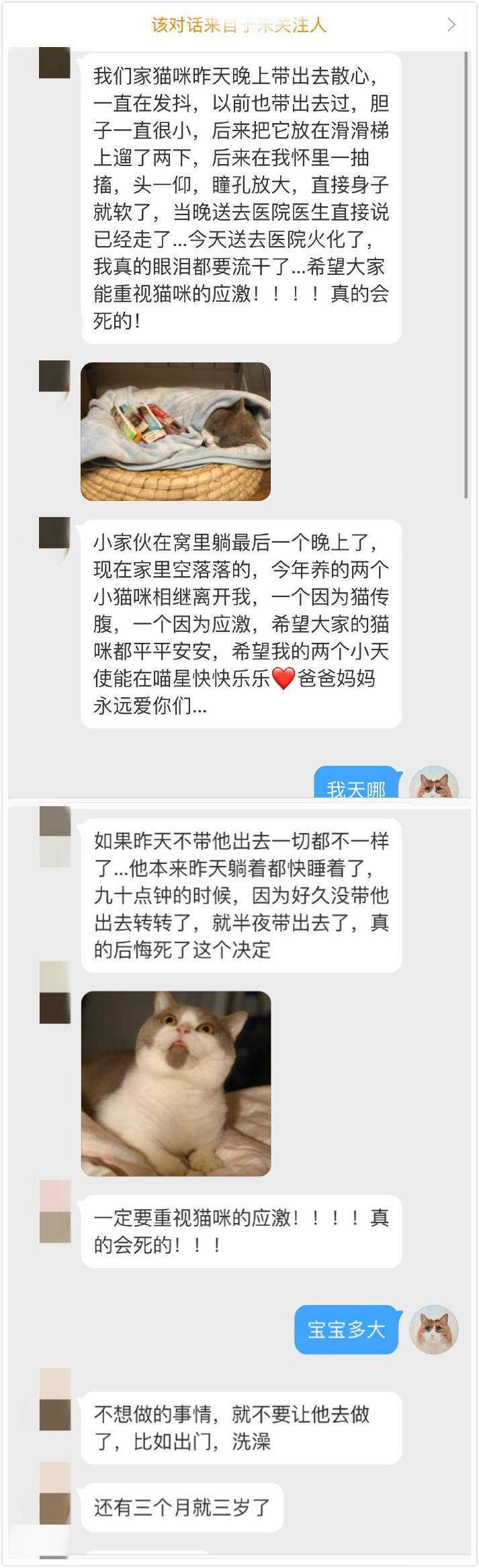 怎么解决猫咪尿闭,应激性尿闭如何治疗