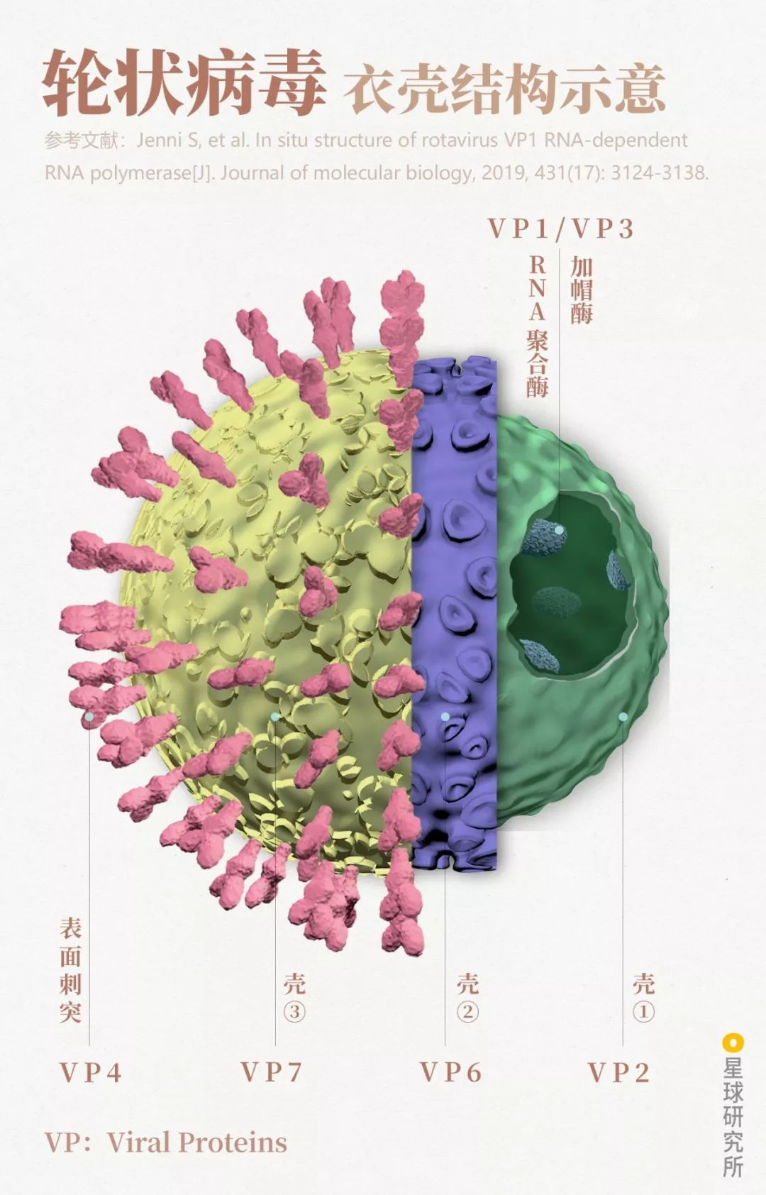 致与病毒搏斗的你！