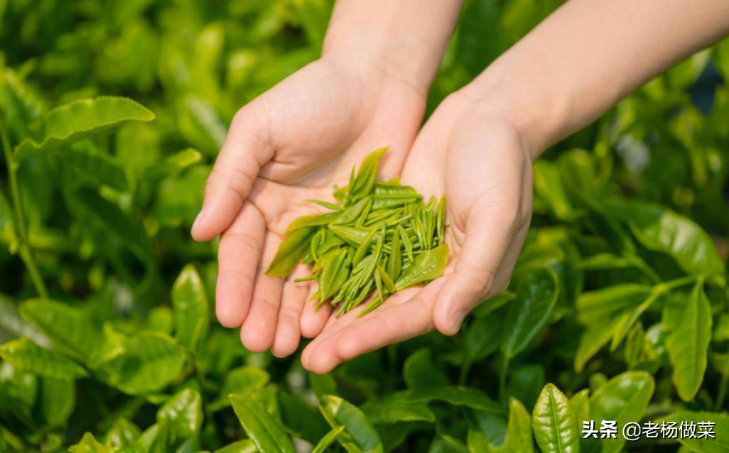 揭露2种被列入“黑名单”的茶，里面全是“添加剂”，你还在喝？