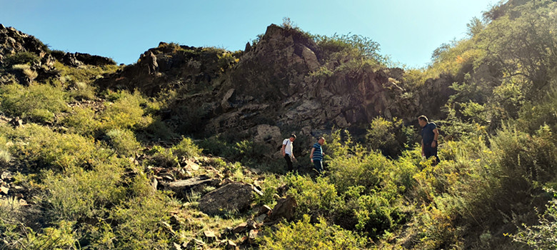 *疆新**兵团四师七十三团布库尔萨依岩画竟如此惟妙惟肖