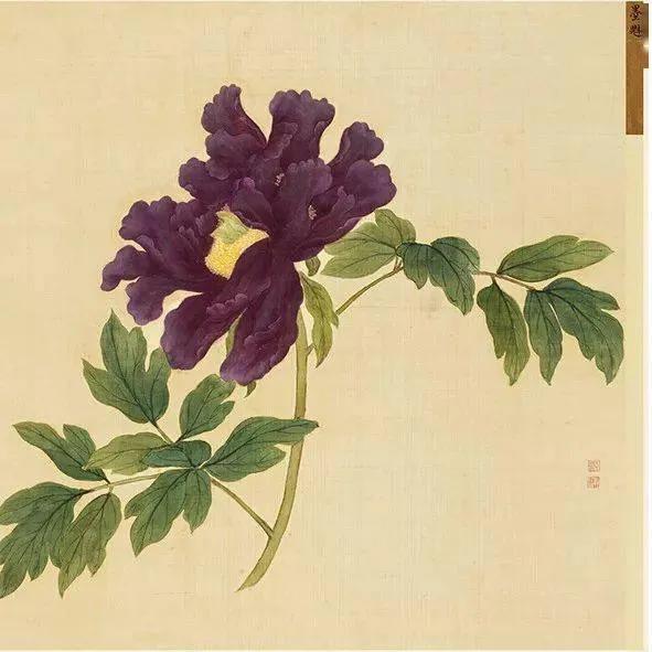 蒋廷锡牡丹画法,蒋廷锡百种牡丹画法