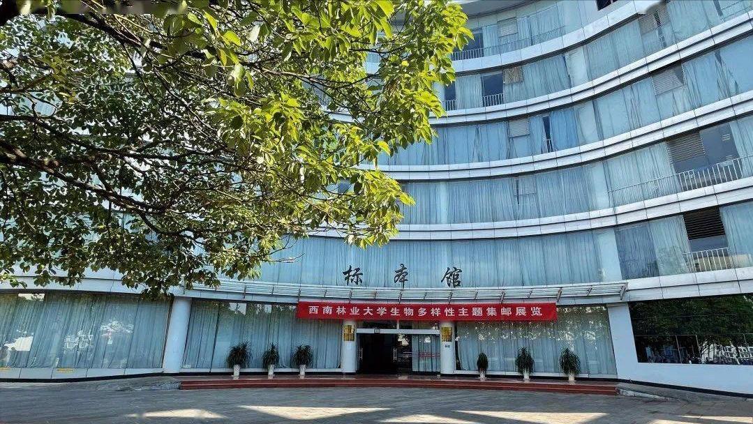 西南林业大学含金量高吗?