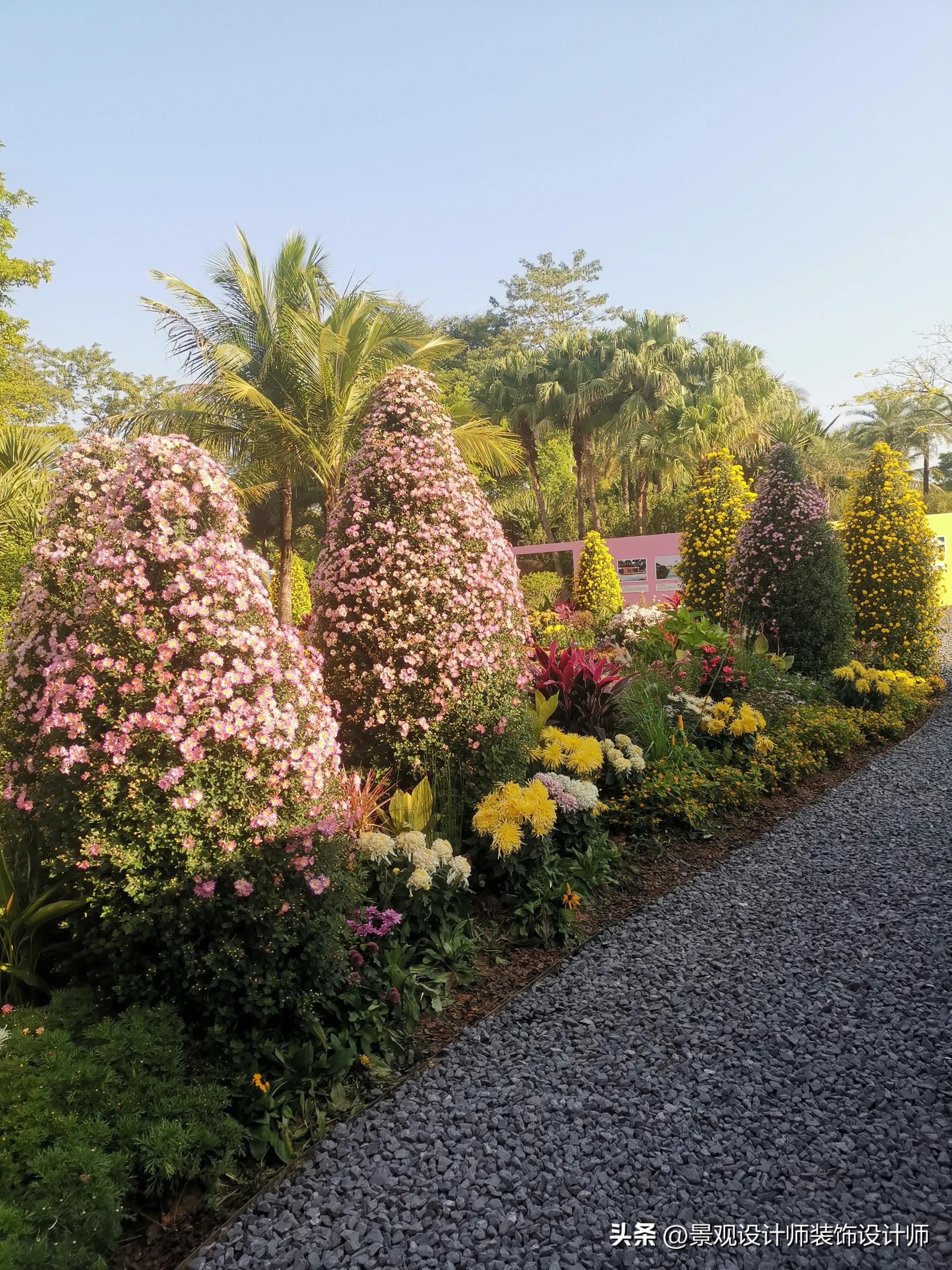 深圳市东湖公园广场舞,深圳市东湖公园收费标准