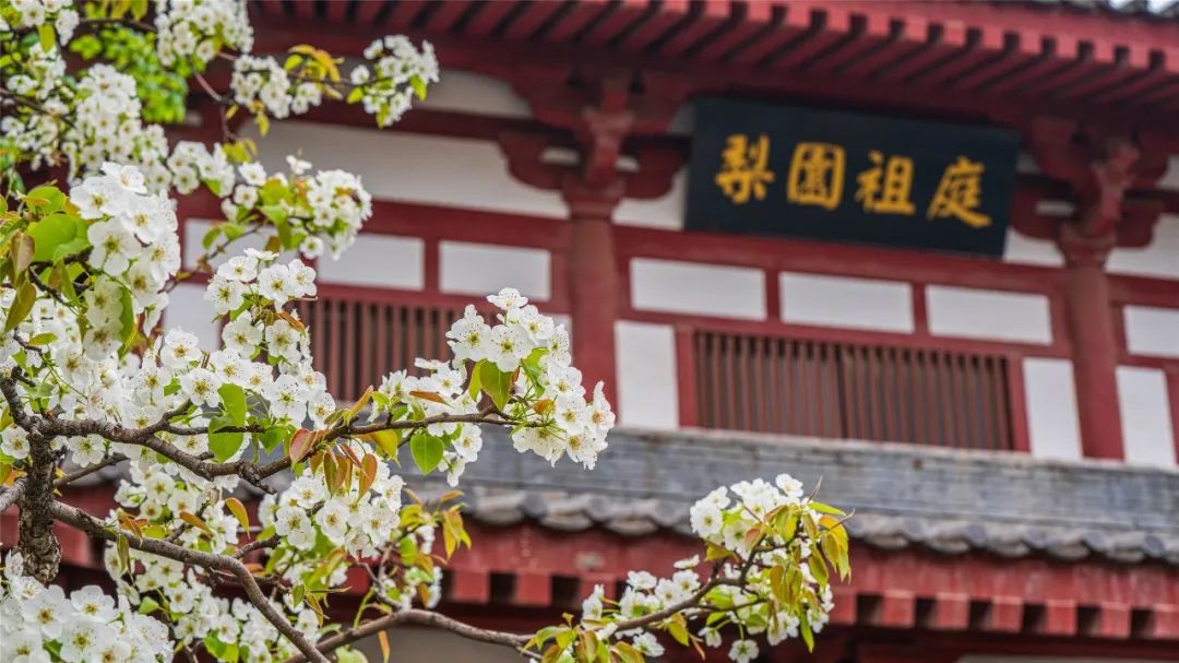 如诗如画的美景歌曲,如诗如画的曲子