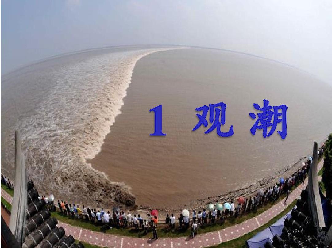 小学四年级课文观潮资料,四年级上册观潮讲了什么