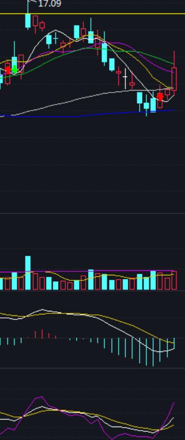 如何盯盘股票池,优质大盘股该怎么操作