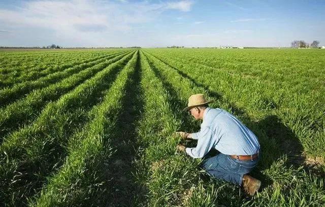 这6种东西建议不要吃,这几样东西千万不要混着吃