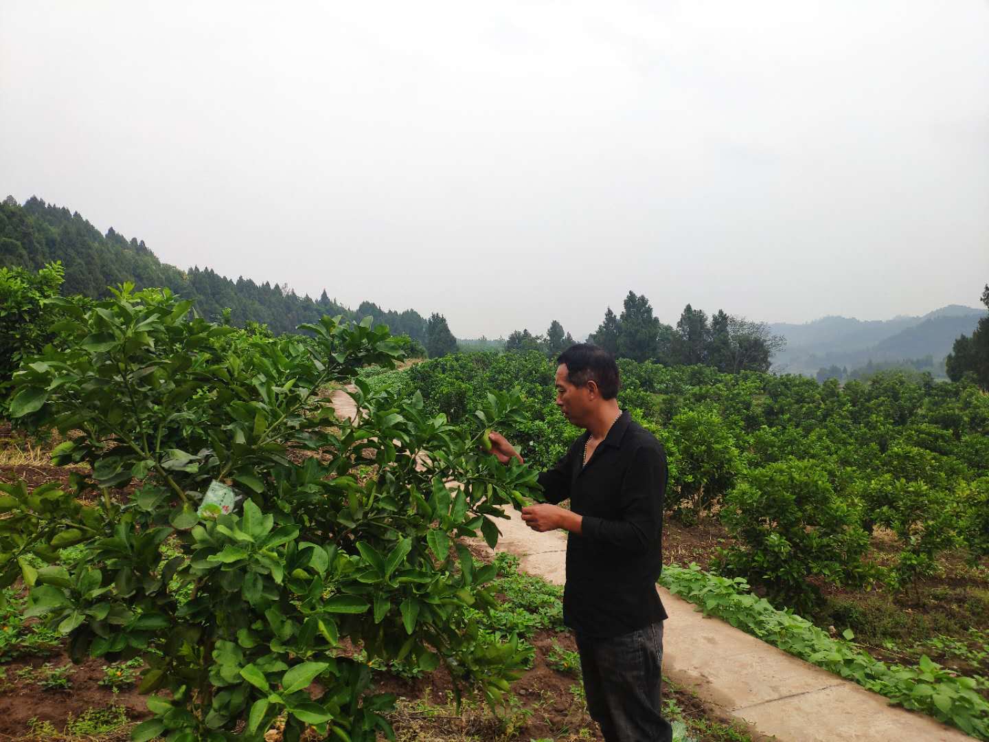 农村创业致富能手推荐,农村人来创业经验分享