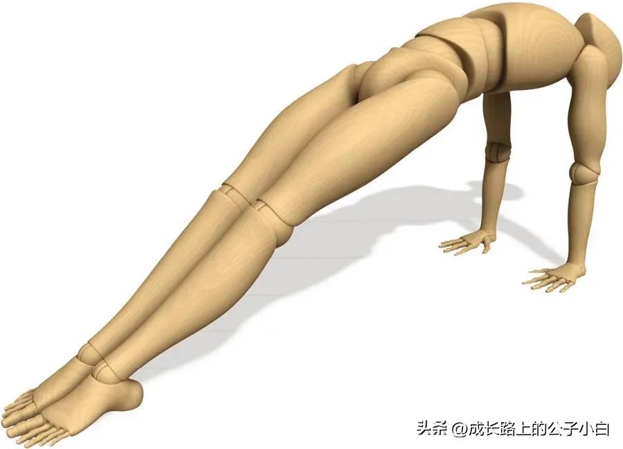 瑜伽解剖体式图解,瑜伽解剖体式讲解